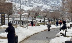 Tatvan’da Bahar Havası Sahile Hareketlilik Getirdi