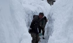 Ovacık'ta besiciler karla mücadele edip hayvanlarını suya götürdü