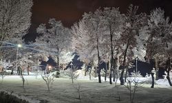 Tatvan’da ağaçlar kırağı tuttu