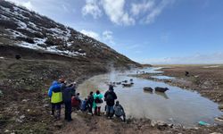 Budaklı Kaplıcası’nda Mandalar Sıcak Suda Görüntülendi