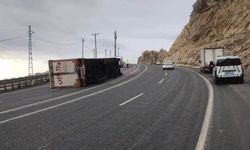 Adilcevaz’da tır devrildi