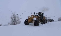 Ağrı'da 377 köy yolu ulaşıma kapandı