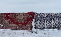 Ağrı’da Soğuk Hava Hayatı Olumsuz Etkiliyor