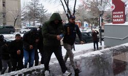 Araç kiralama vaadiyle sahte site kurup dolandırıcılık yapan çete çökertildi