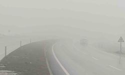 Bingöl'de yoğun sis etkili oldu