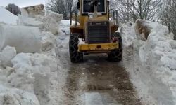 Bitlis’te 5 metreyi bulan kar yığını ulaşıma açıldı
