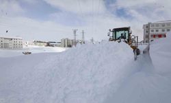 Bitlis’te ekipler yoğun kar mesaisinde