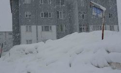 Bitlis’te kar etkisini artırdı, 304 köy yolu kapandı