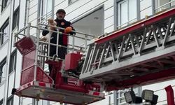 Çatıda mahsur kalan kedi için ekipler seferber oldu