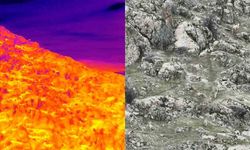 Dağ keçileri termal dron ile kaydedildi