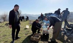 Derecik’te güneşi gören piknik alanlarına koştu