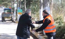 Elazığ Belediyesi'nden vatandaşlara ücretsiz fidan dağıtıldı