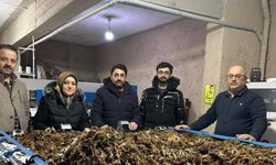 Erzurum’da atık yünler ekonomiye kazandırılıyor