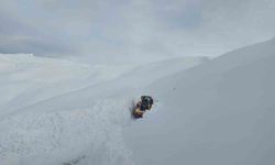 Hakkari'de 143 yerleşim yerinin yolu ulaşıma yeniden açıldı