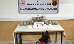 Hakkari'de 22 kilo uyuşturucu yakalandı