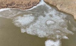 Iğdır'da donan Karasu Sazlığı'nda buzlar erimeye başladı