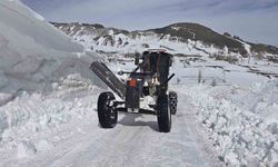Iğdır'da karla mücadele çalışmaları aralıksız devam ediyor