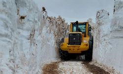 Kar kalınlığının 4 metreyi bulduğu Yüksekova'da yoğun mesaisi