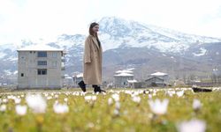 Karlar eridi, Muş Ovası çiğdemlerle renklendi