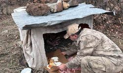 Köy yolunda terk edilen yavrulara Jandarma sahip çıktı