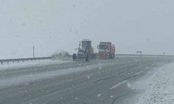 Lapa lapa kar Van’ın yüksek kesimlerini süsledi