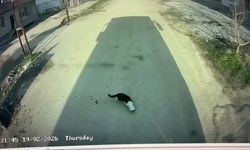 Malatya’da şoförden can dostuna yardım eli