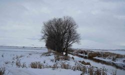 Meteoroloji uyardı: Kuvvetli fırtına geliyor