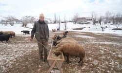 Muş'ta iki mevsim bir arada yaşanıyor