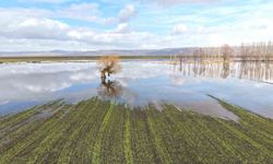 Muş’ta kar eridi, ova göle döndü