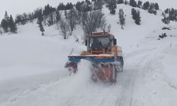 Tunceli'de karla mücadele çalışmaları aralıksız devam ediyor