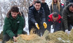 Vali Aygöl, yaban hayvanlarını unutmadı