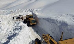 Van'da 3 bin 300 rakımlı mezra yolunda karla mücadele devam ediyor