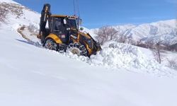 Van'da 78 yerleşim yerinin yolu ulaşıma kapandı
