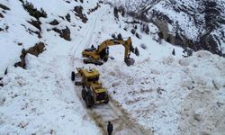 Van'da çığ düşen yol yeniden ulaşıma açıldı