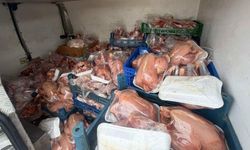 Van’da sağlık ve sevk belgesi olmayan 200 tavuğa el konuldu