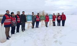 Van'da yaban hayvanlarına şefkat eli