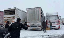 Yolda kalan 200 büyükbaş hayvan için yem takviyesi yapıldı