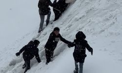 Yüksekova’da beyaz örtü eğlenceye dönüştü: Tepsiyle kayak keyfi