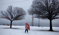 Ahlat’ta sabah saatlerinde kar yağışı etkili oldu