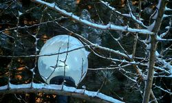 Ahlat’ta soğuk hava etkisini artırdı