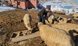 Uzayan kış, artan maliyet: Besicinin yükü ağırlaşıyor