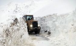 Karlıtepe Köyü yolunda çığ önlemi: Çalışmalar geçici olarak durduruldu
