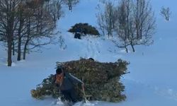 Bitlis’te besicilerin zorlu kış mesaisi