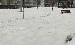 Tatvan’da Çamurlu Yağmur: Kar Kahverengine Büründü