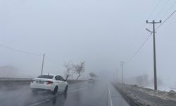 Güroymak’ta Yoğun Sis Hayatı Olumsuz Etkiledi