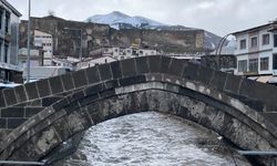 Bitlis Kalesi ve Bitlis Deresi Aynı Karede