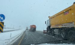 Bitlis–Tatvan Arasında Karla Mücadele Çalışması