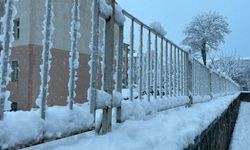 Tatvan’da etkili olan kar yağışı hayatı olumsuz etkiledi