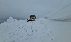 Aydınlar Beldesi'nde karla mücadele aralıksız sürüyor