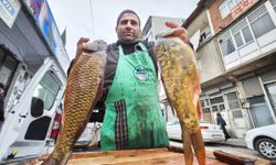 Keban Baraj Gölü’nün dev sazanları Ahlat’ta ilgi görüyor